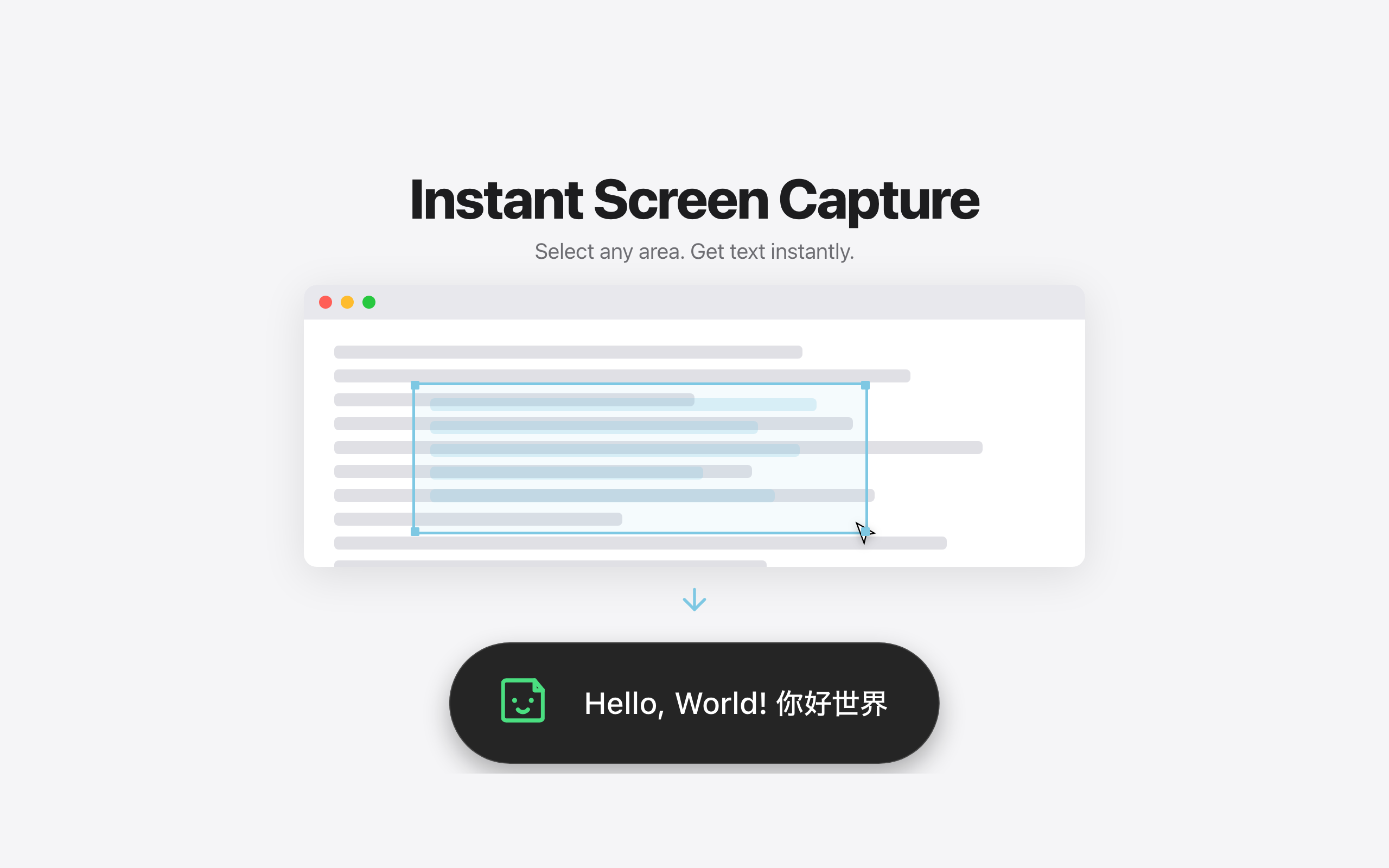Cheese! OCR gallery image