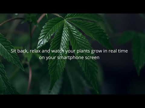 Greenfindor gallery image