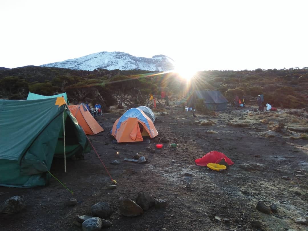 Berg Kilimanjaro Klettern media 5