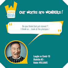 WonderBlah gallery image