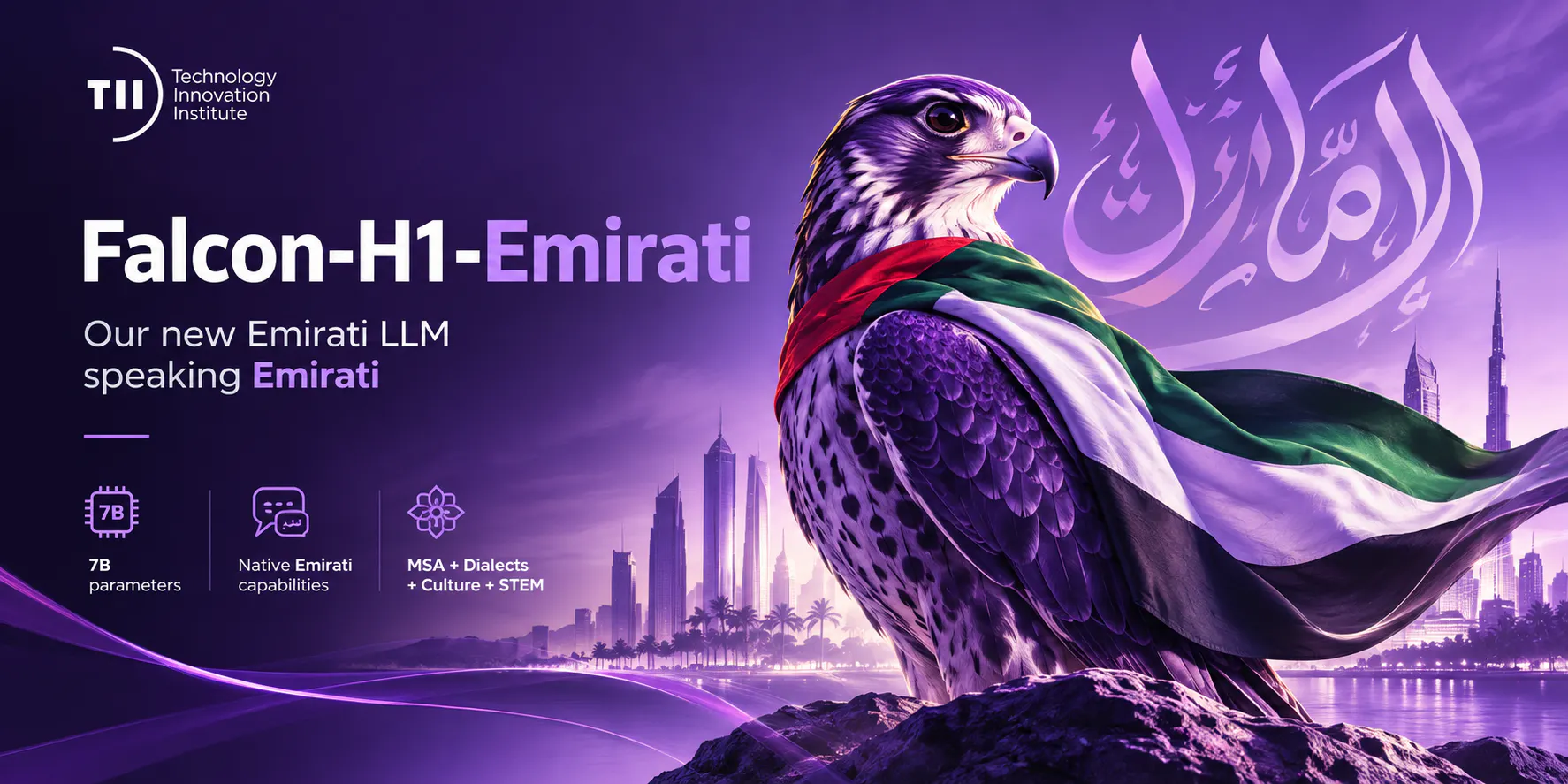 Falcon-Emirati gallery image