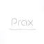 Prax Analytics