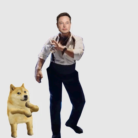 Elon's Extension 3.0: Dogecoin Edition