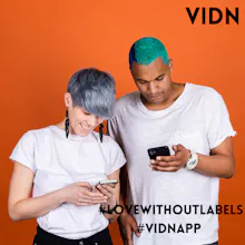 Vidn gallery image