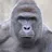 Harambe Slack Emoji