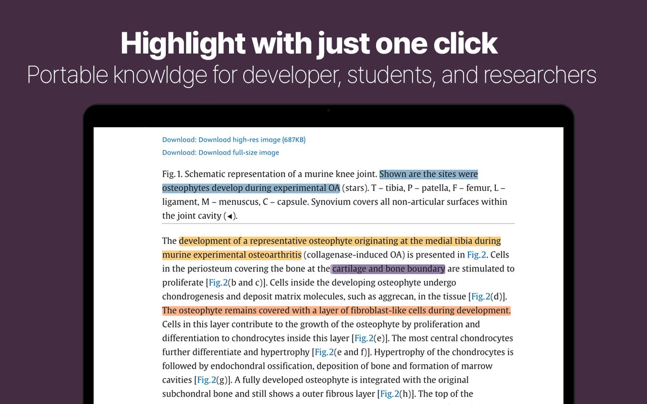 Glowtxt - Web Metni vurgulayıcı - Chrome medya 4