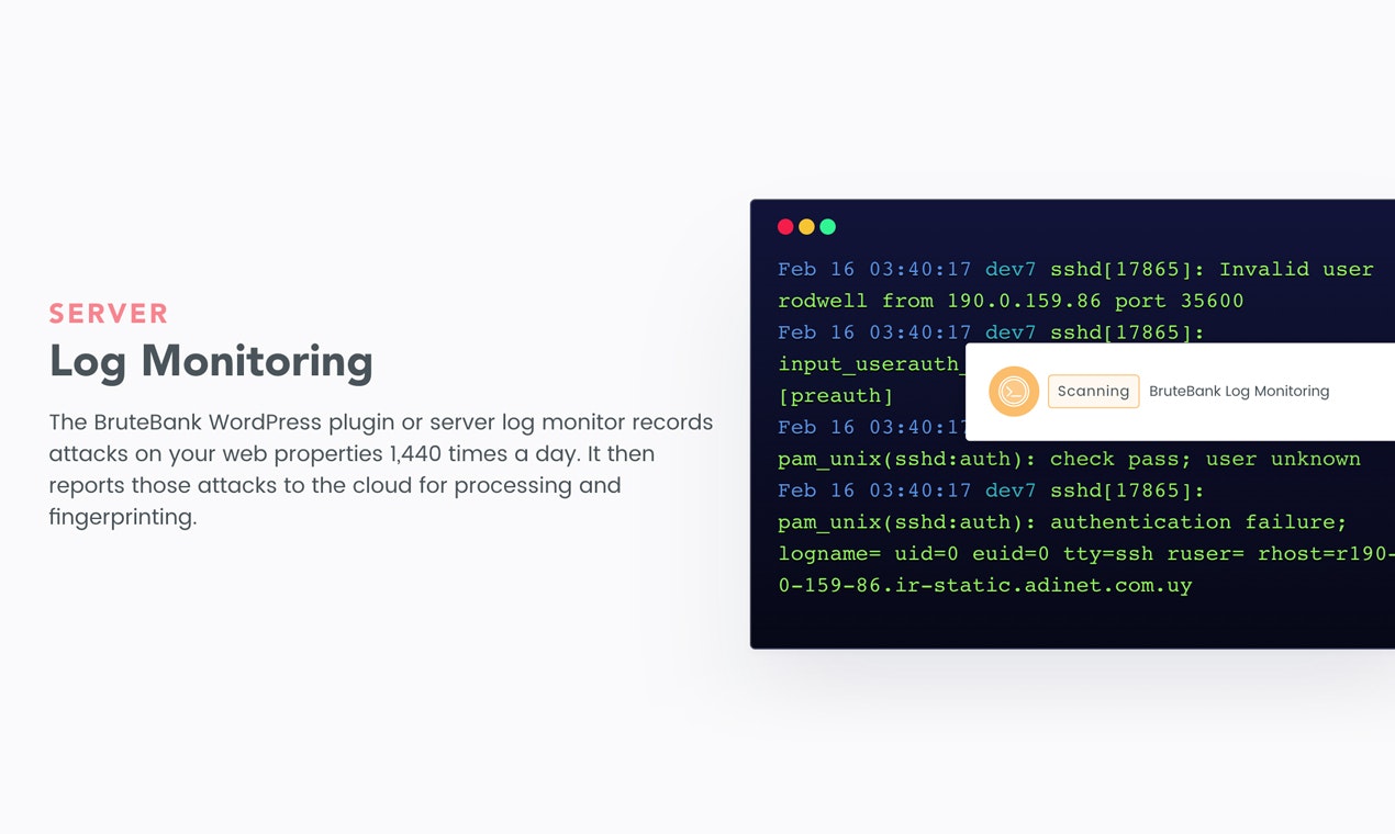 BruteBank gallery image