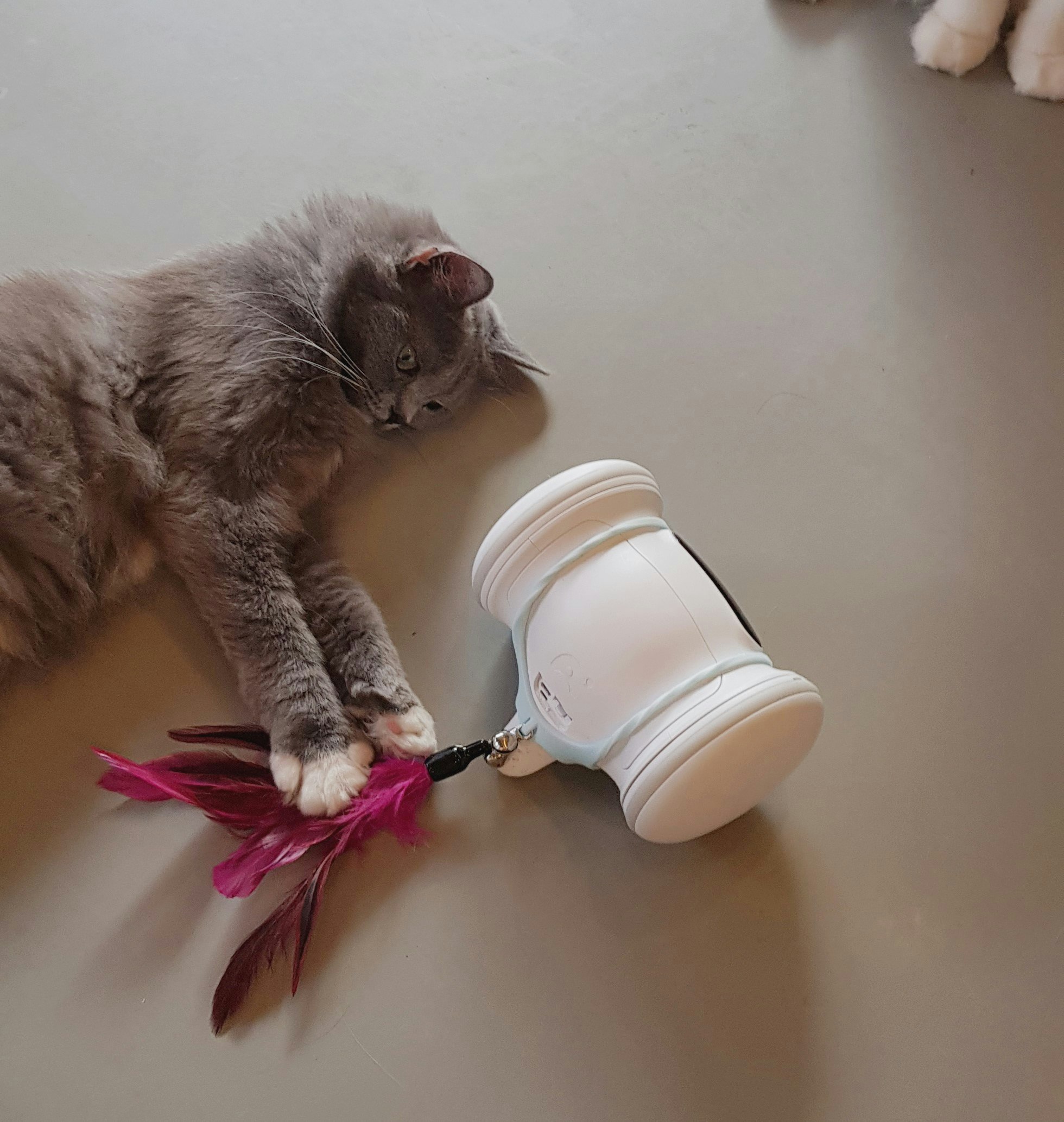 Varram Pet Robot gallery image