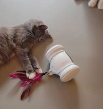 Varram Pet Robot gallery image