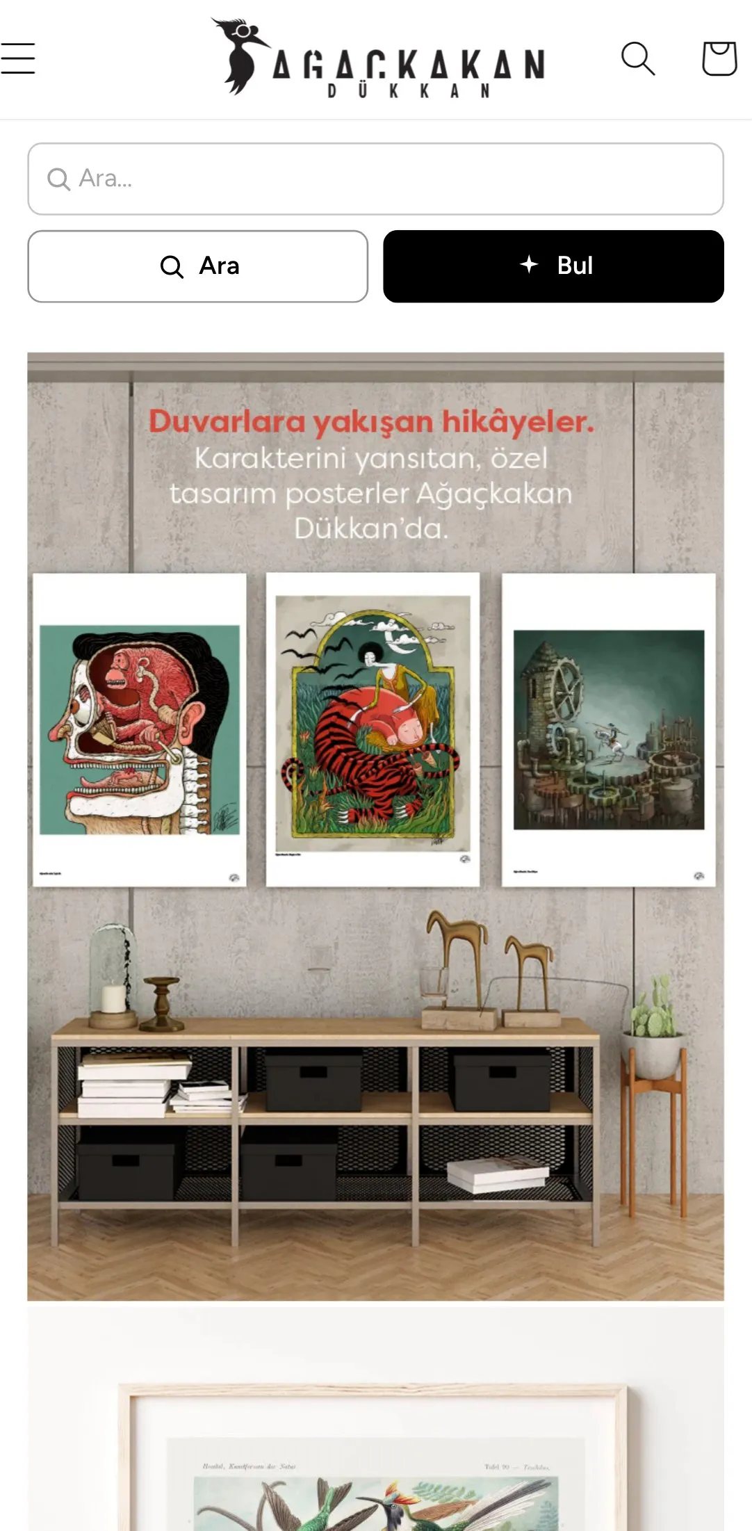 Sterk Find gallery image