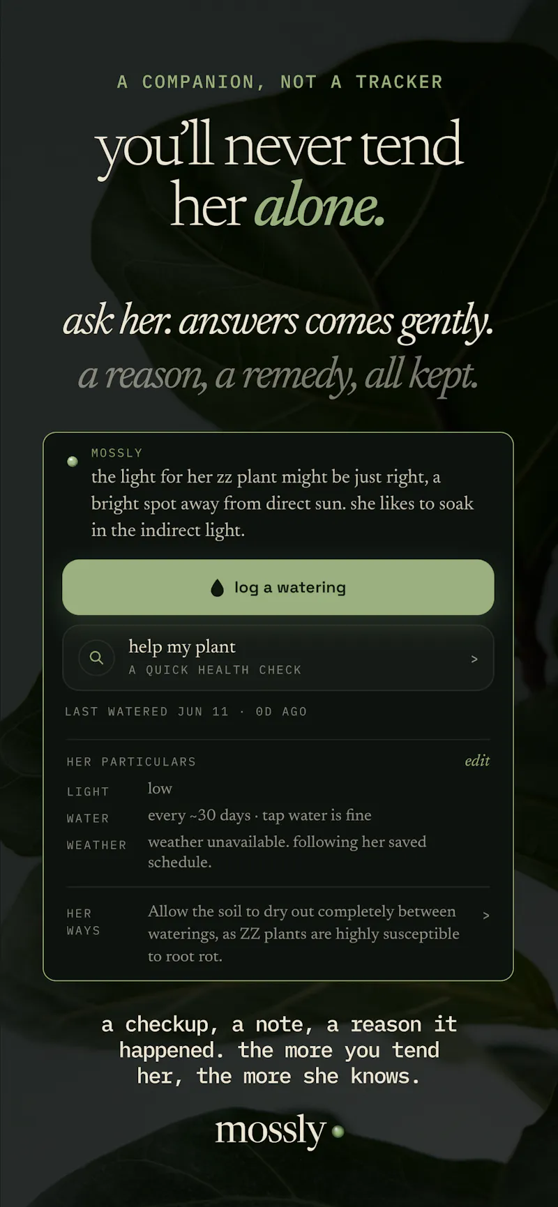 Mossly screenshot 5