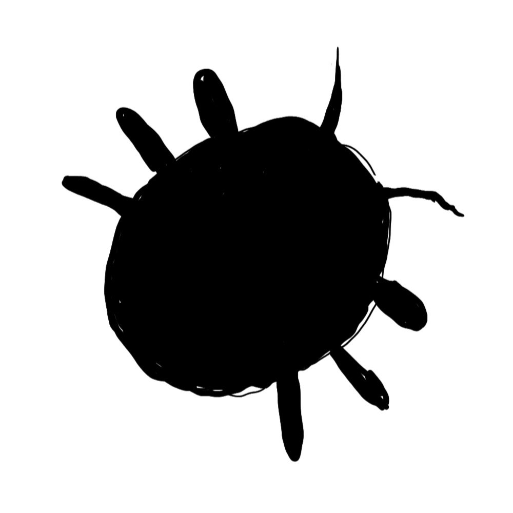 Sketchbug