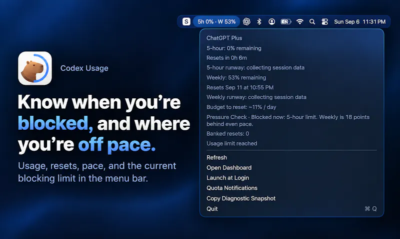 Codex Usage screenshot 2