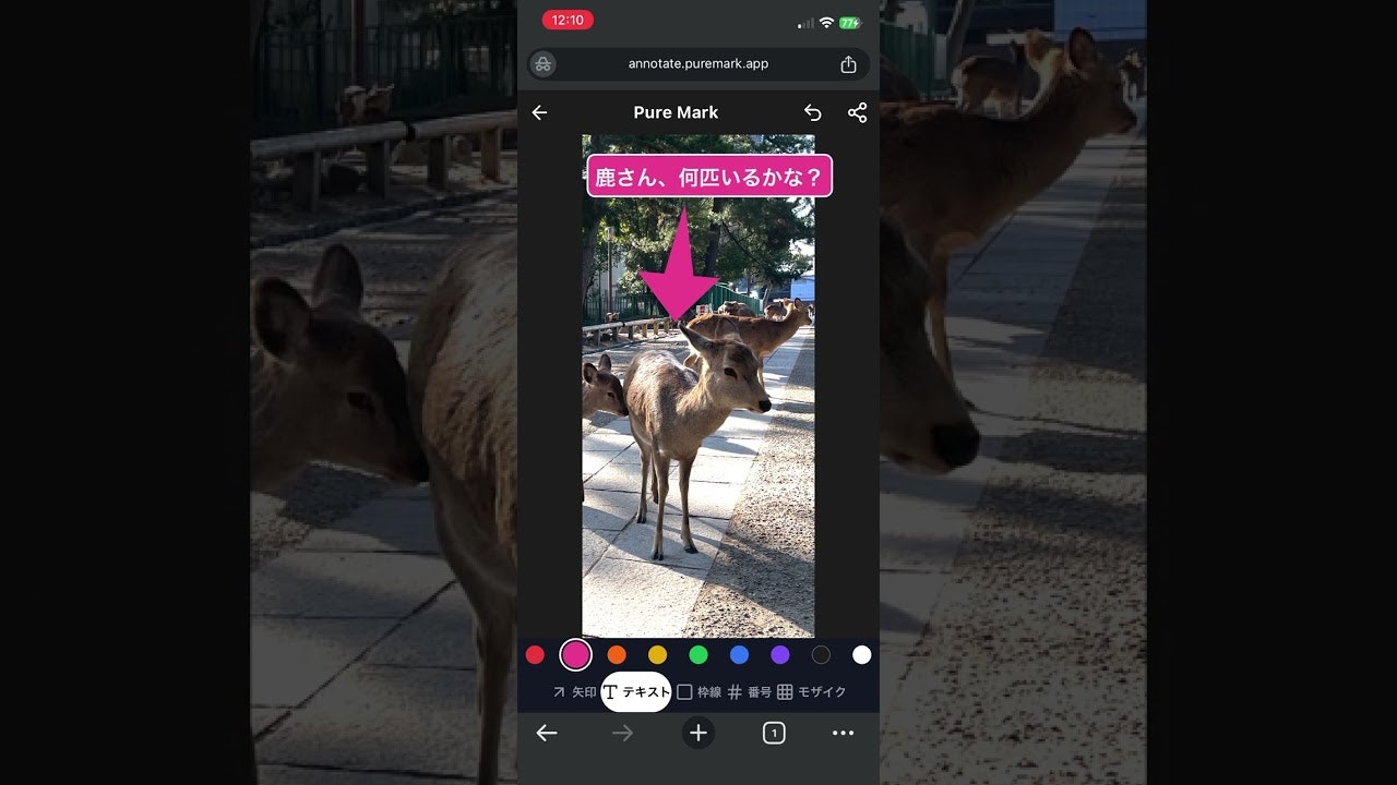 PureMark gallery image