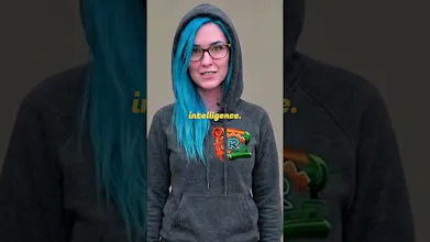 Rullst gallery image