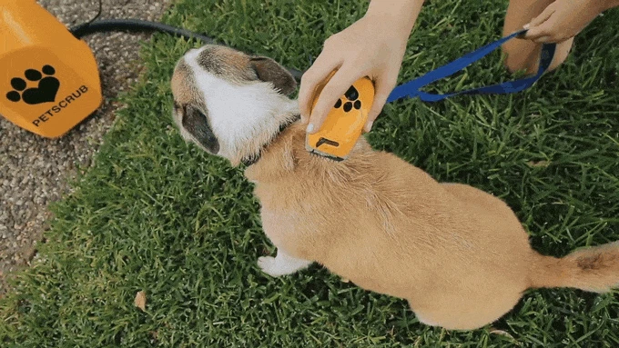 PetScrub