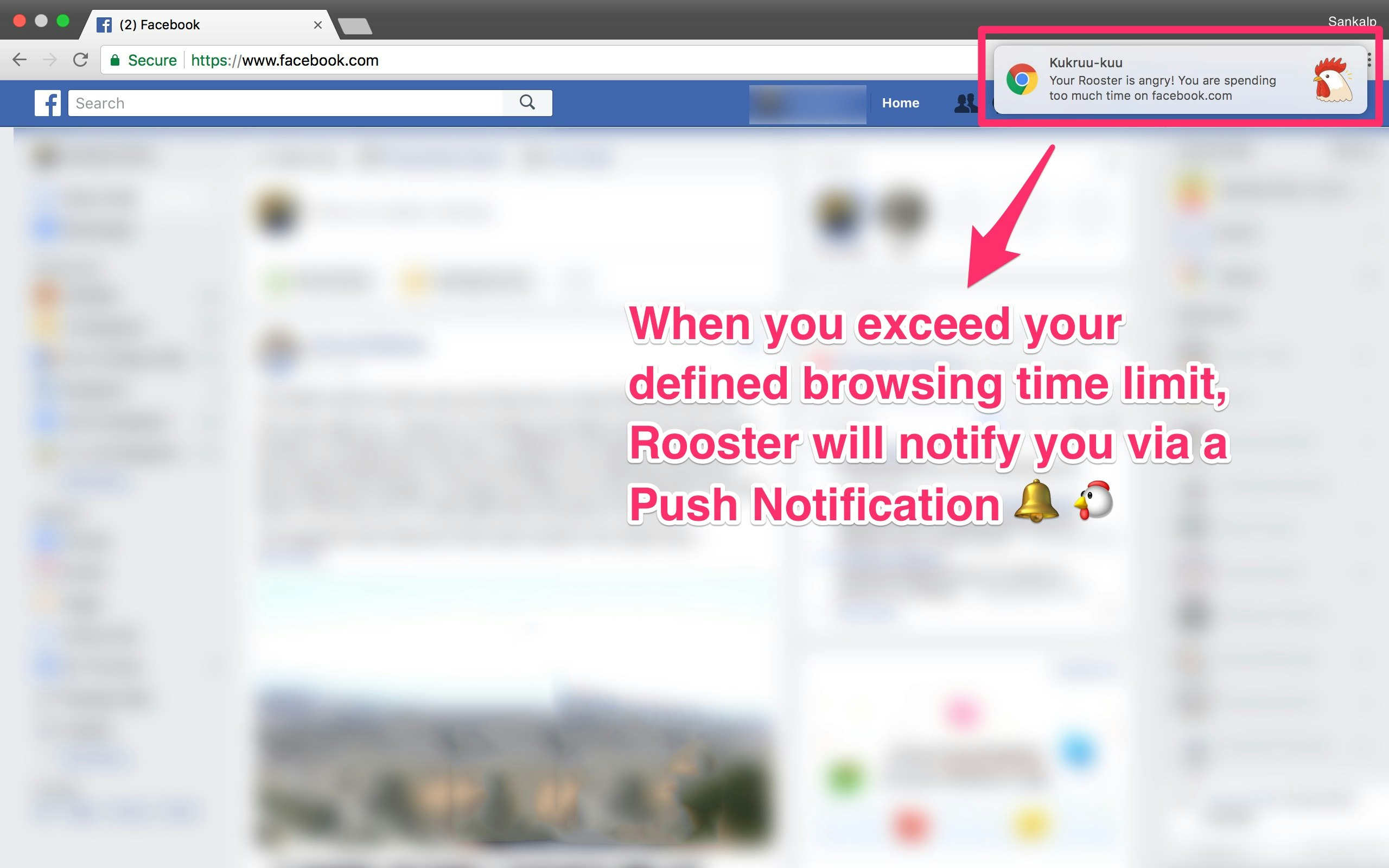 Rooster gallery image