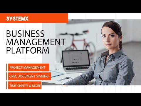 SystemX - Business Management Platform gallery image