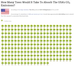 How Many Trees? gallery image