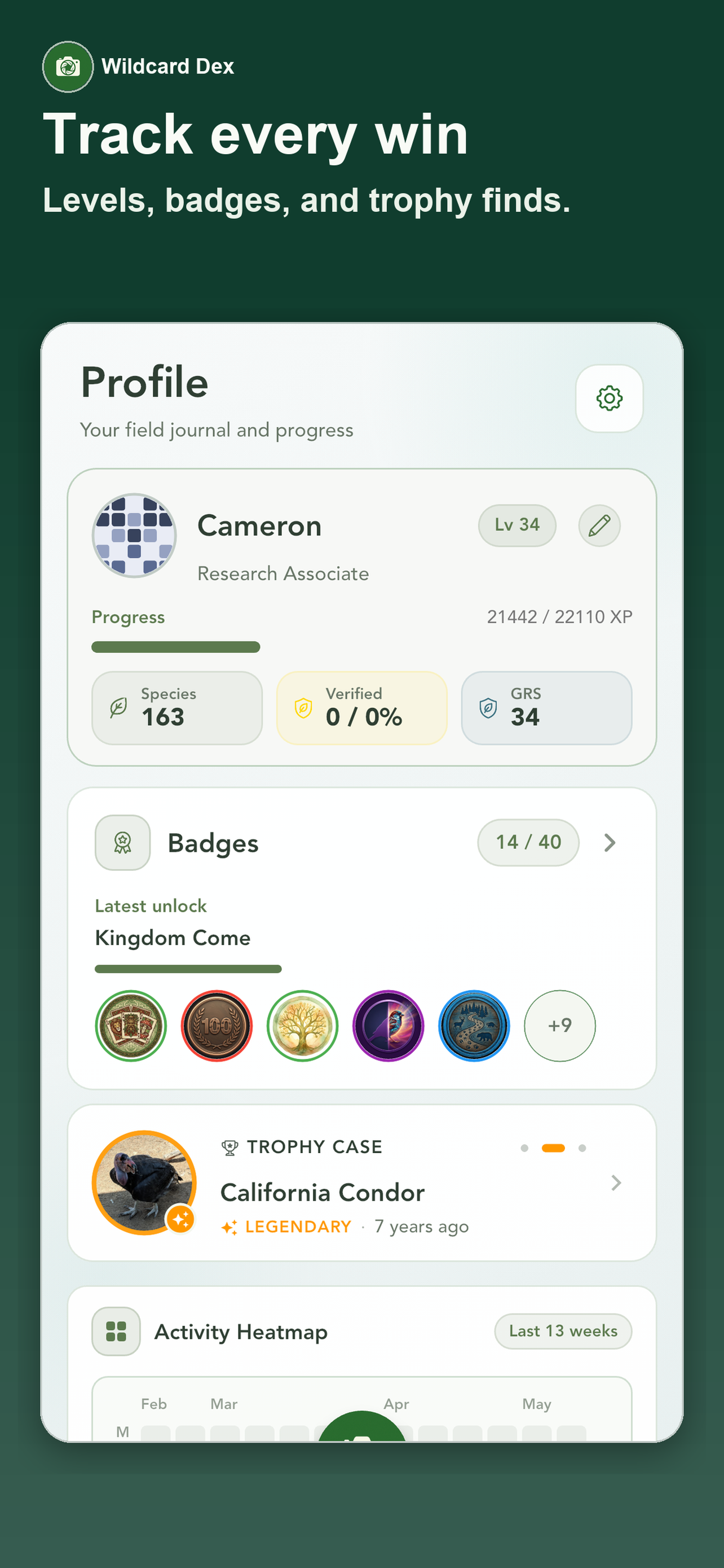 Wildcard Dex gallery image