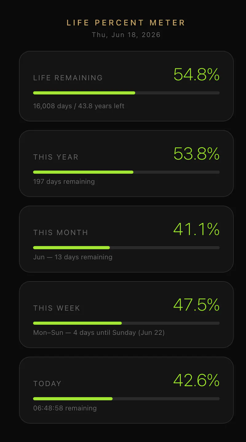 Life Percent Meter screenshot 1