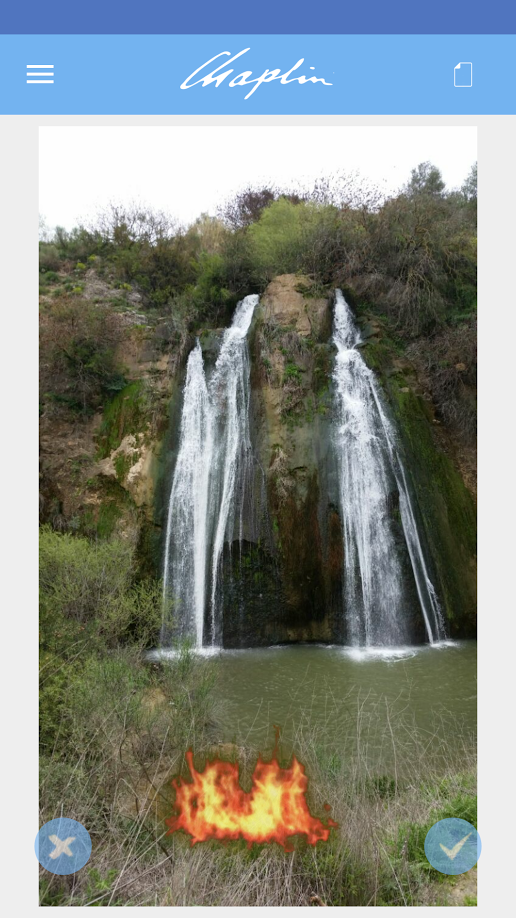 Chaplin gallery image