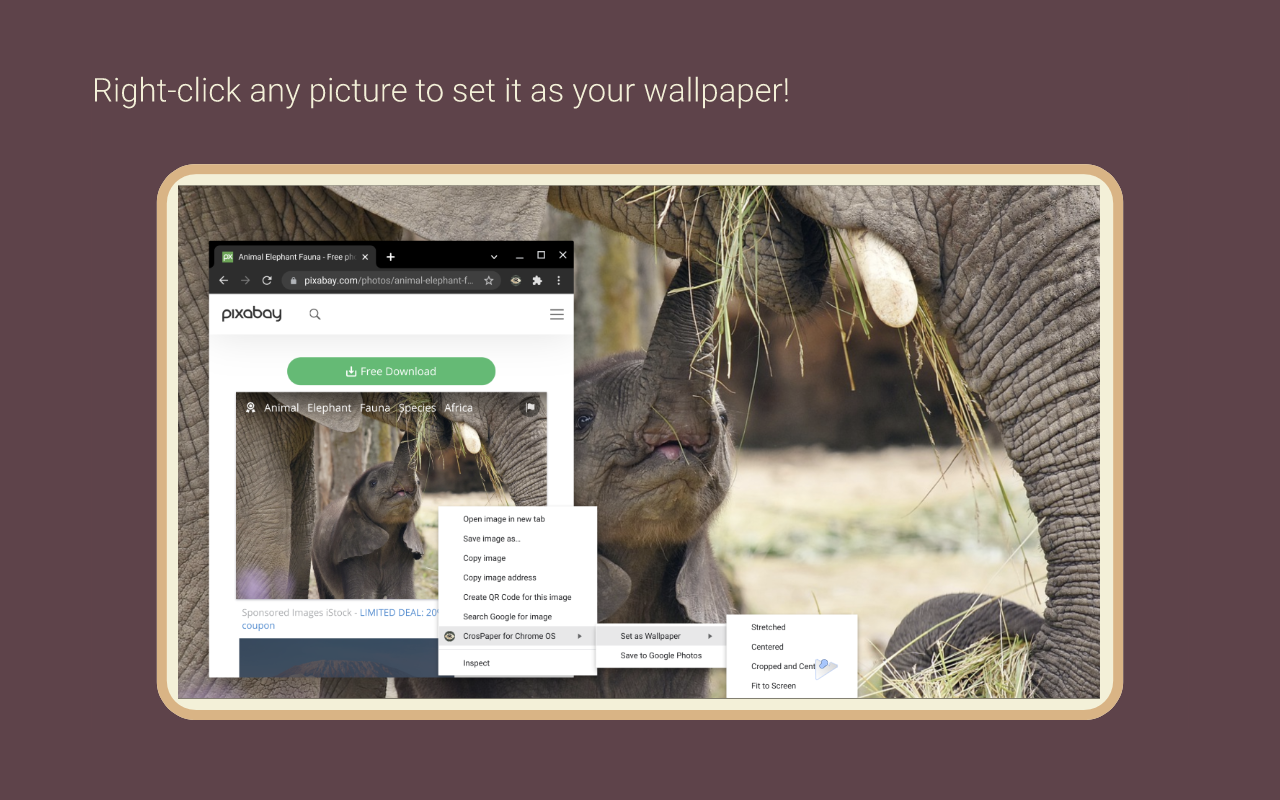 CrosKeys by CrosExperts gallery image