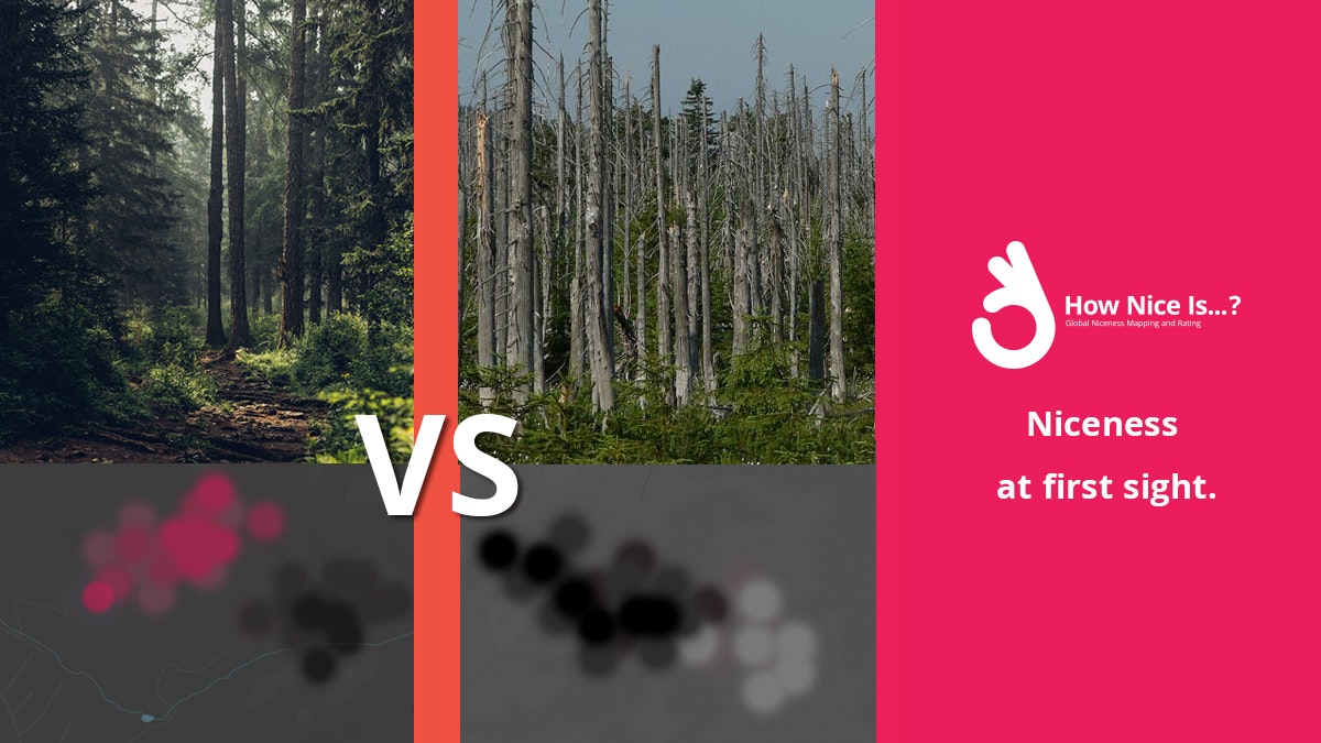 How Nice is... gallery image