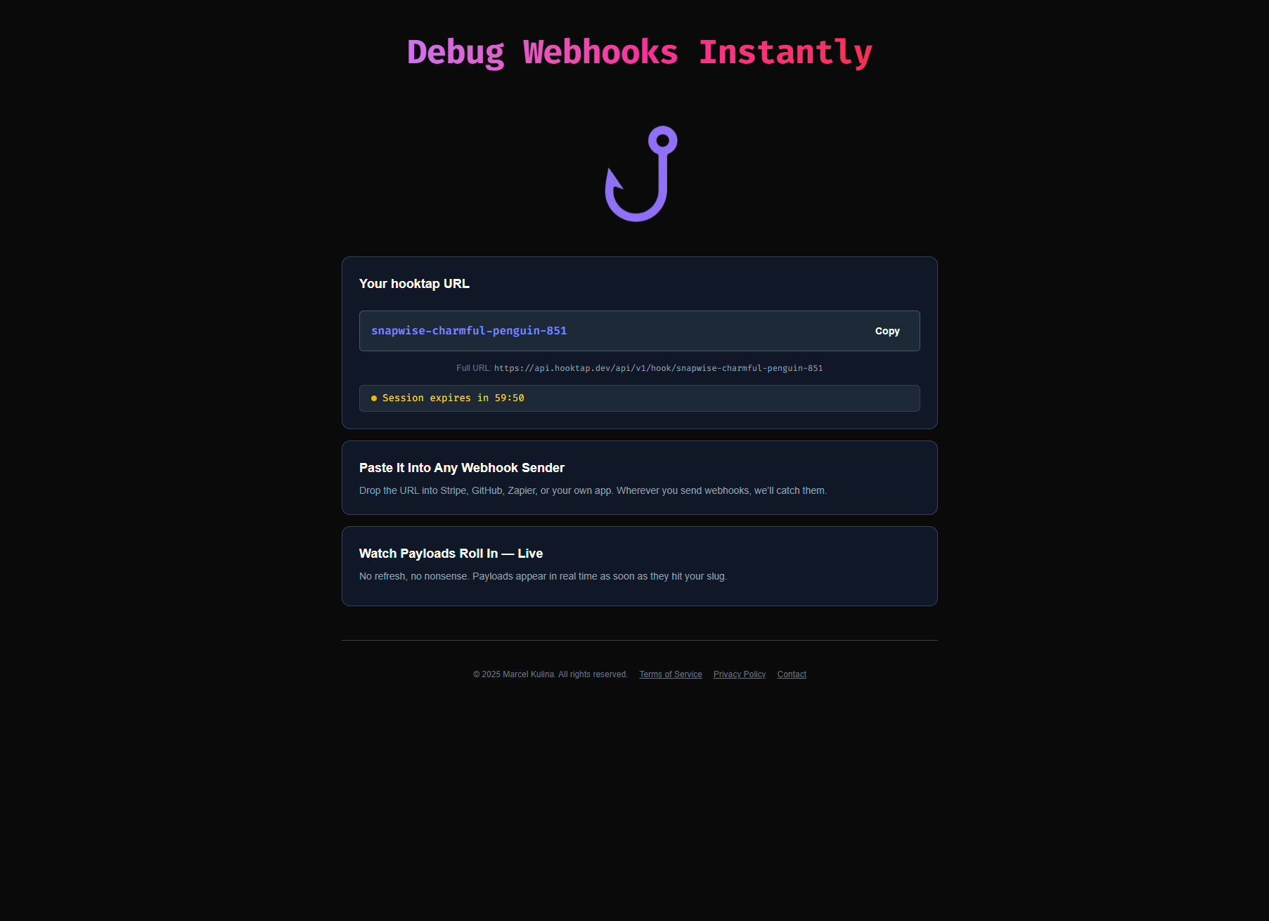 haak - Inspecteer, debugt en analyseer uw webhooks - in seconden media 1
