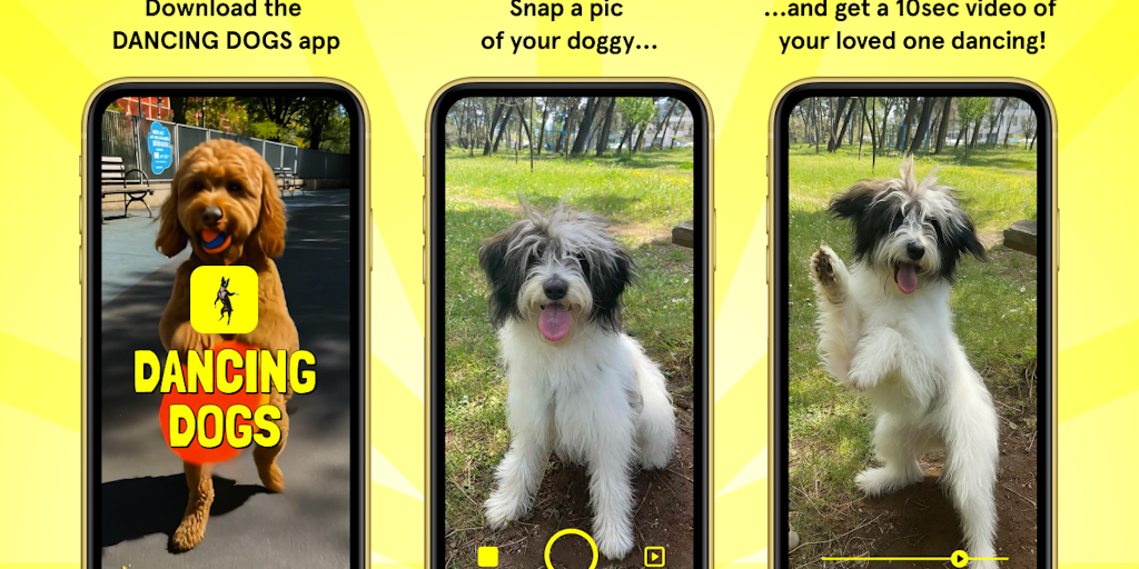 Dancing Dogs app