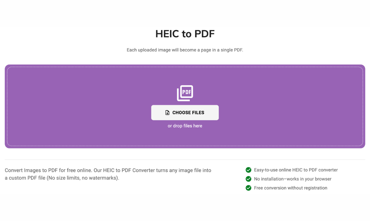 Zaun C und PDF Medien 3