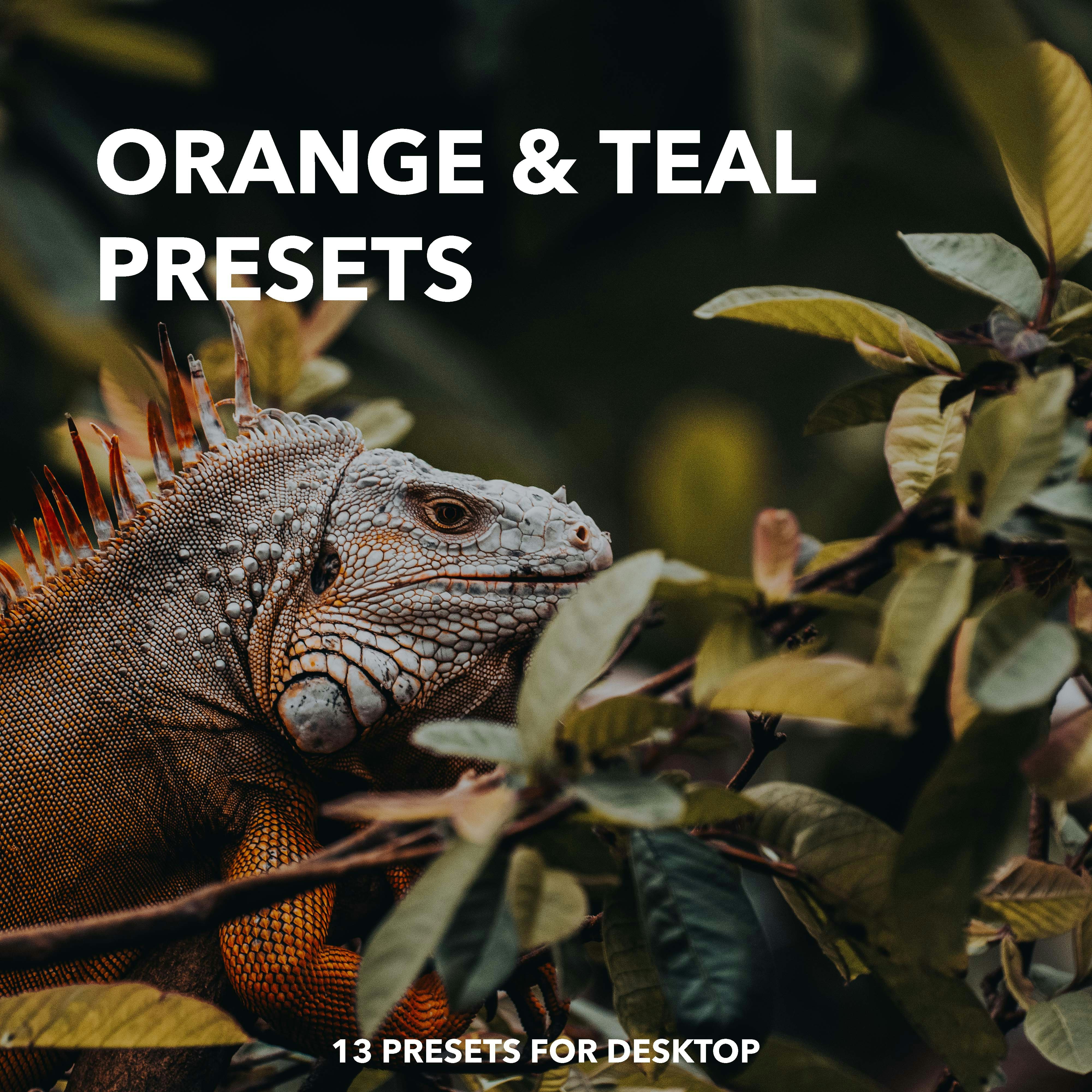 The Ultimate Presets Bundle gallery image