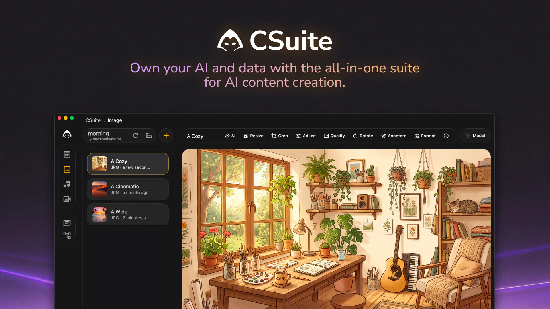 CSuite gallery image