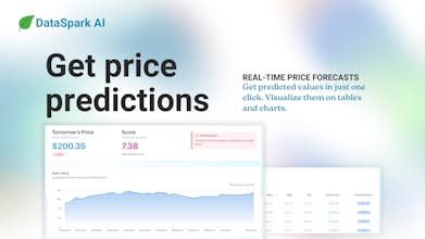 DataSpark AI gallery image