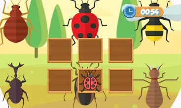 Montessori Zoology Memory gallery image