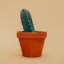 Plant Hunter