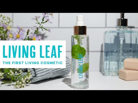 Living Leaf gallery image