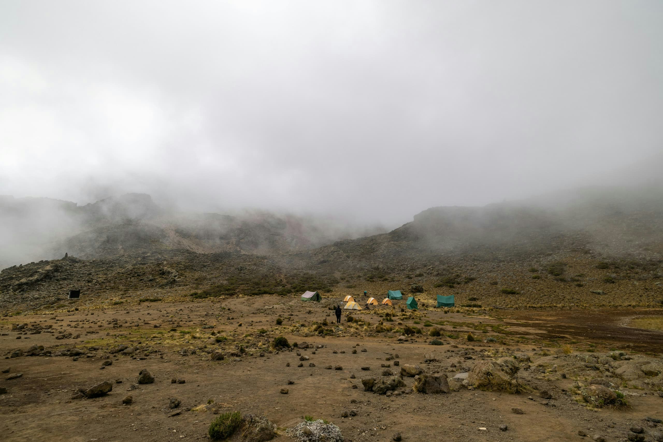 Africantrust Safari media 192