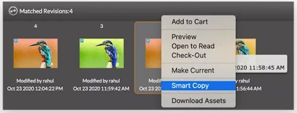 Zoom Media Asset Management System gallery image