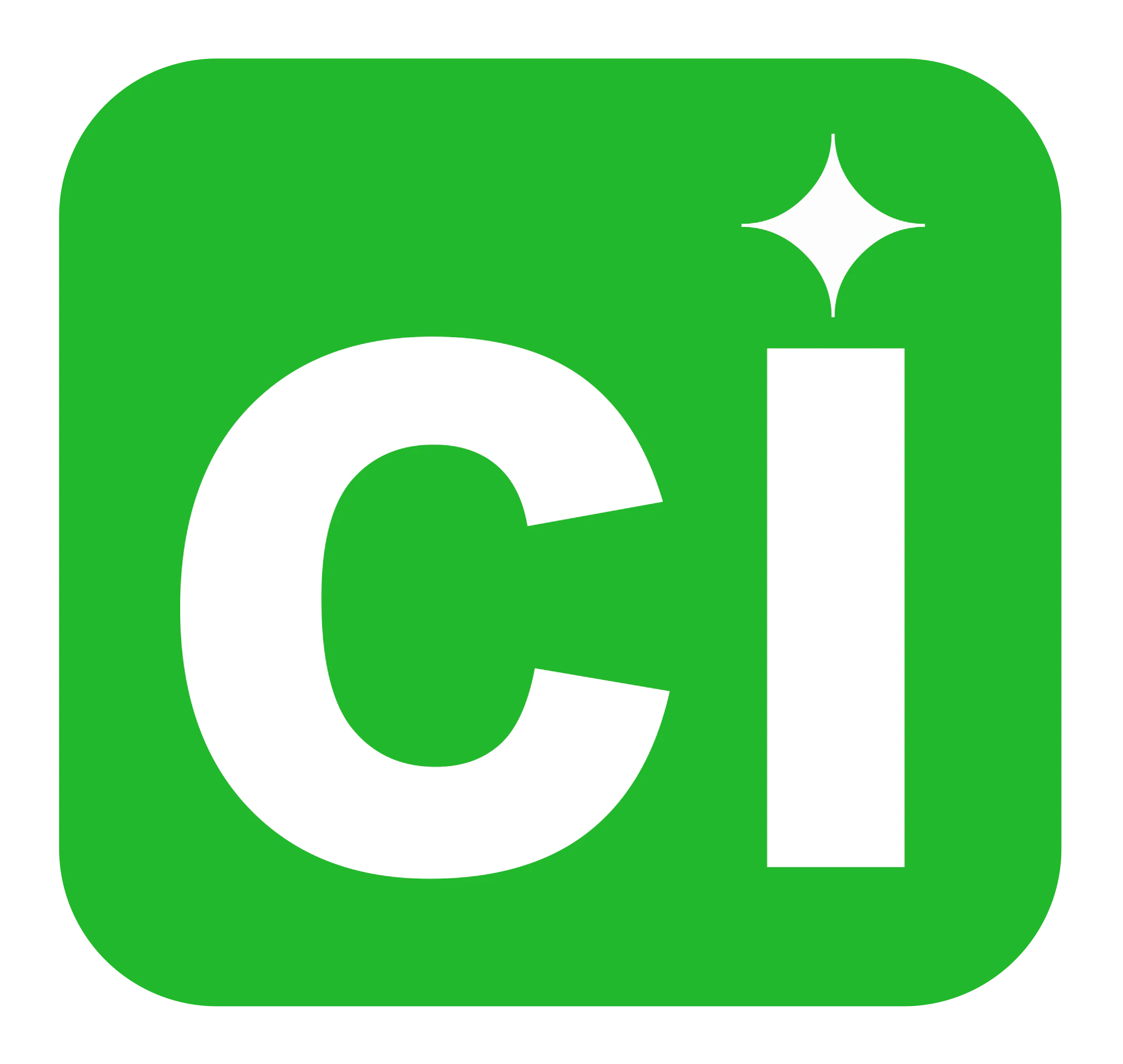 CleanedIn Feed Filter