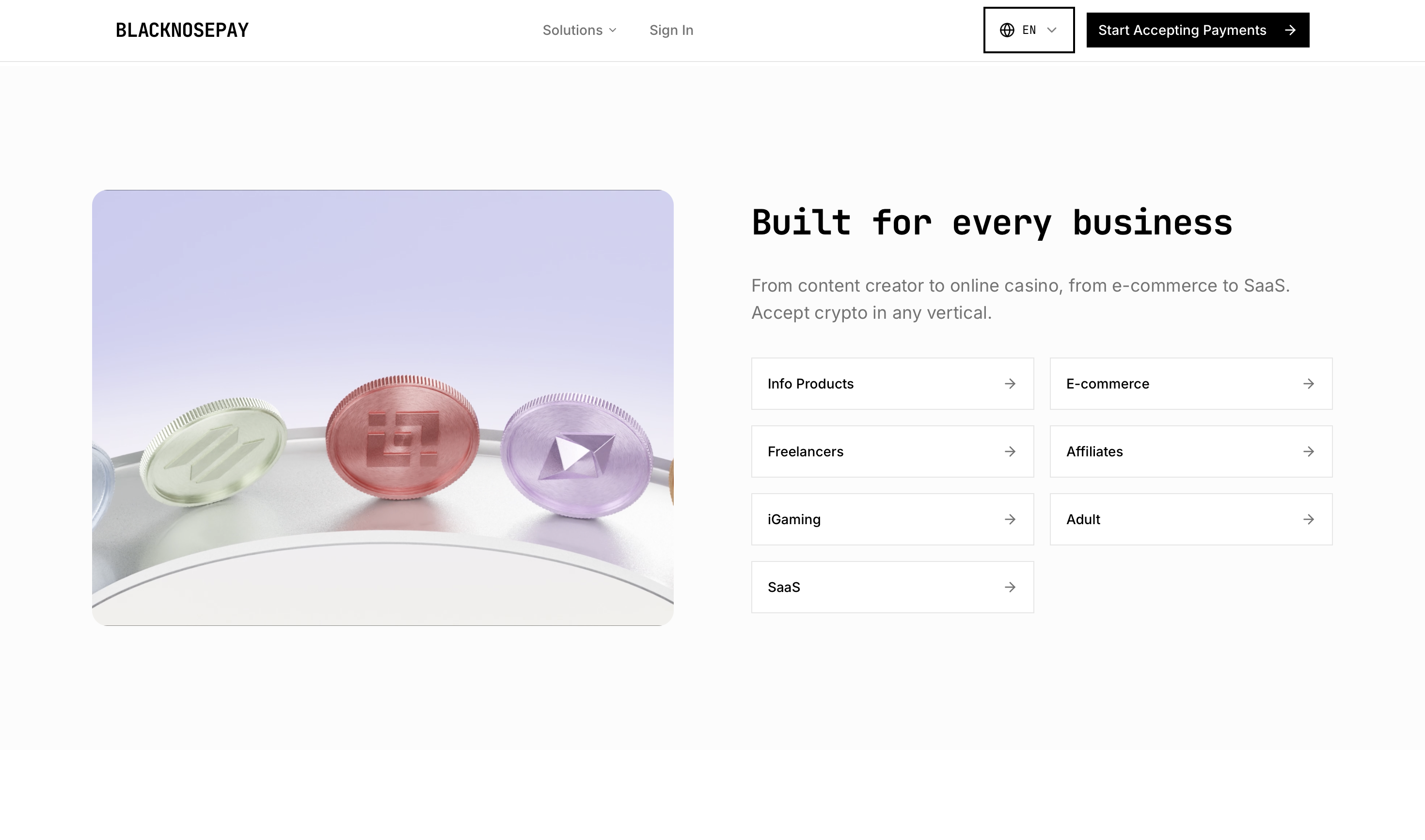 BlackNosePay - Screenshot 3 showing product features and functionality