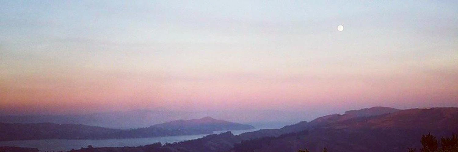 Christina Chang cover