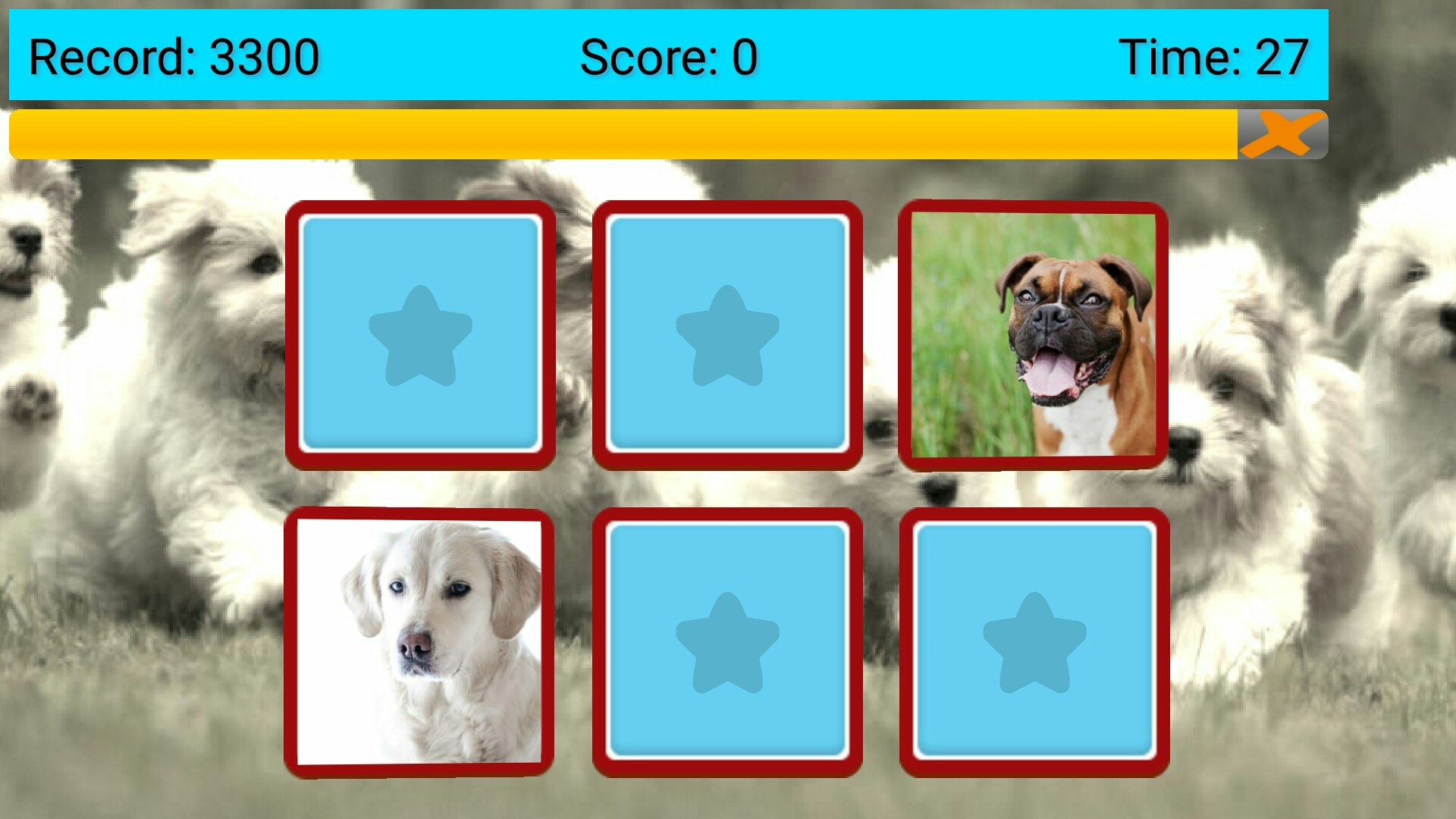 Your Pictures Memory Game gallery image