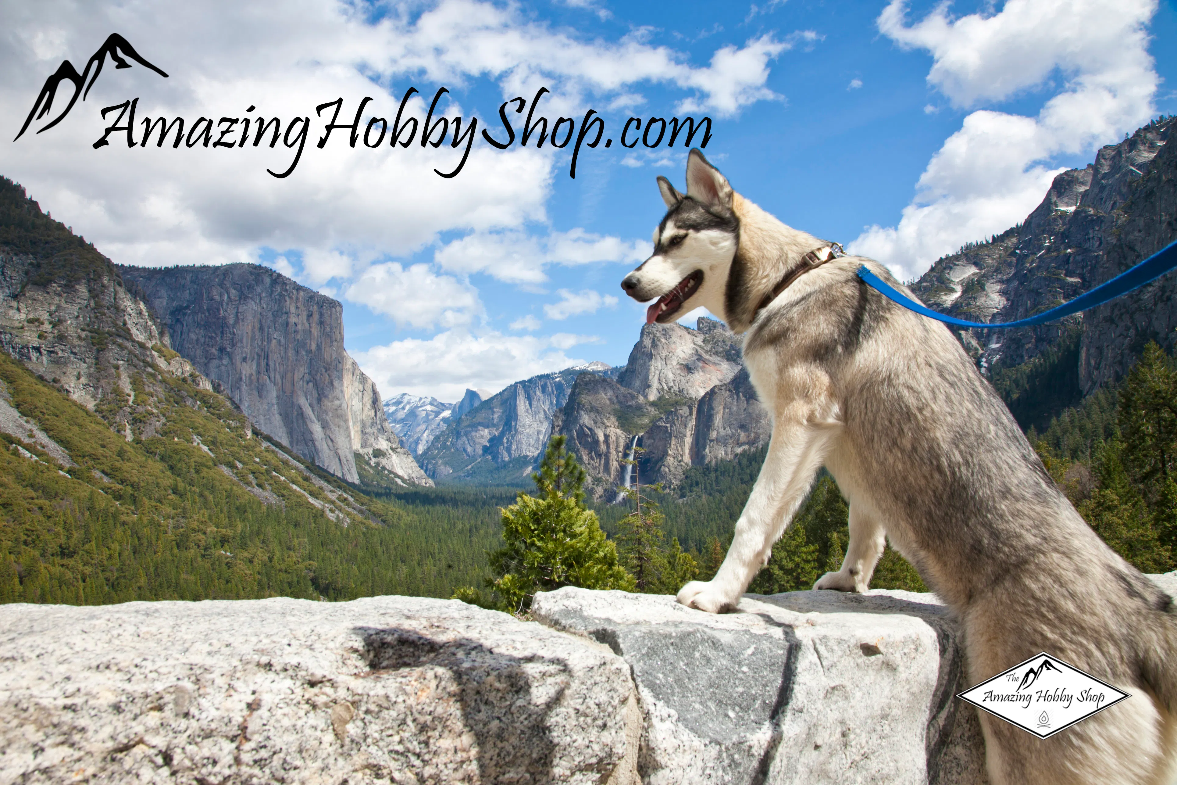 Amazing Hobby Shop