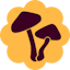 Fungi.id