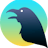 Raven Reader