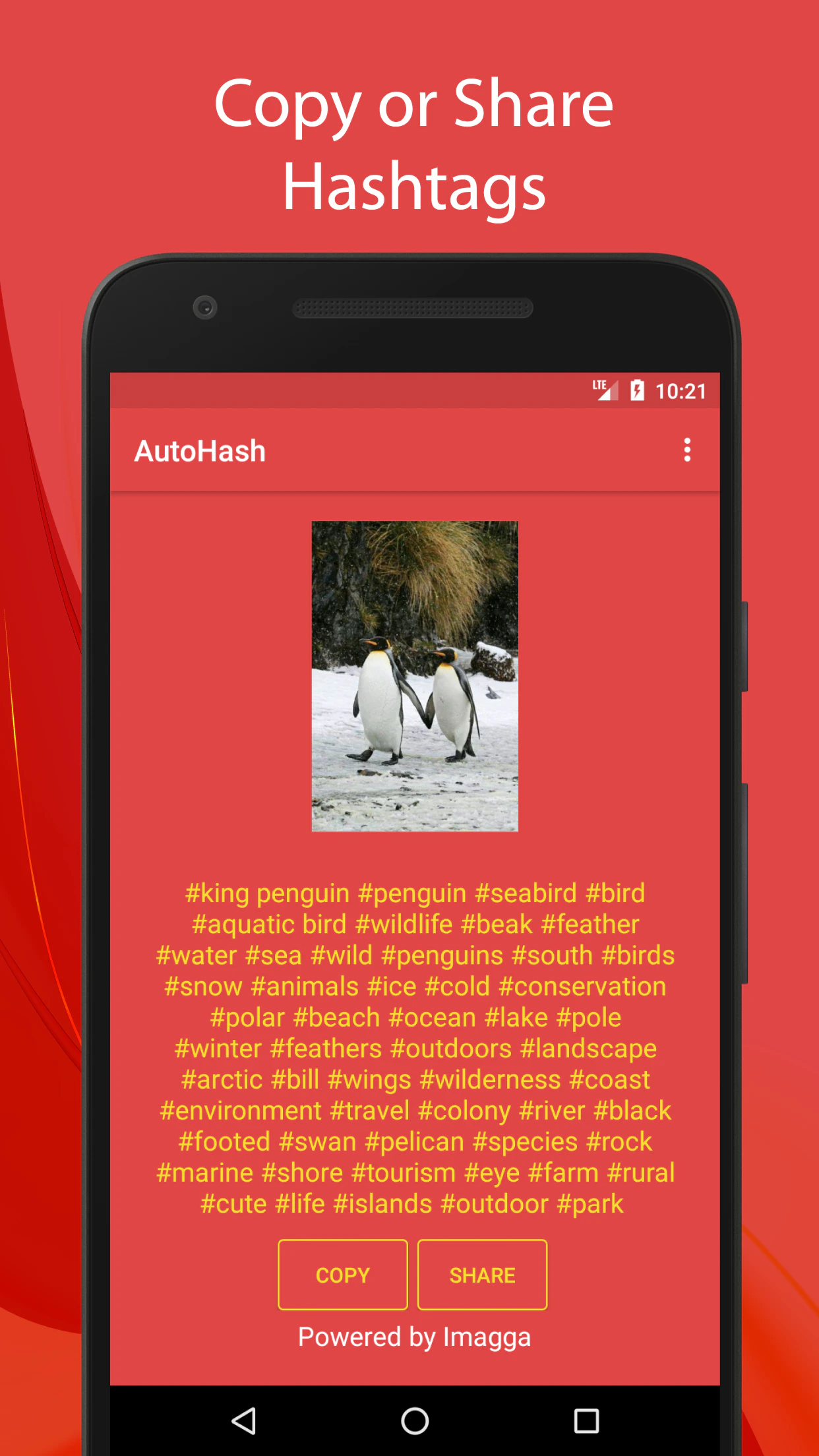 Intelli Hash Image