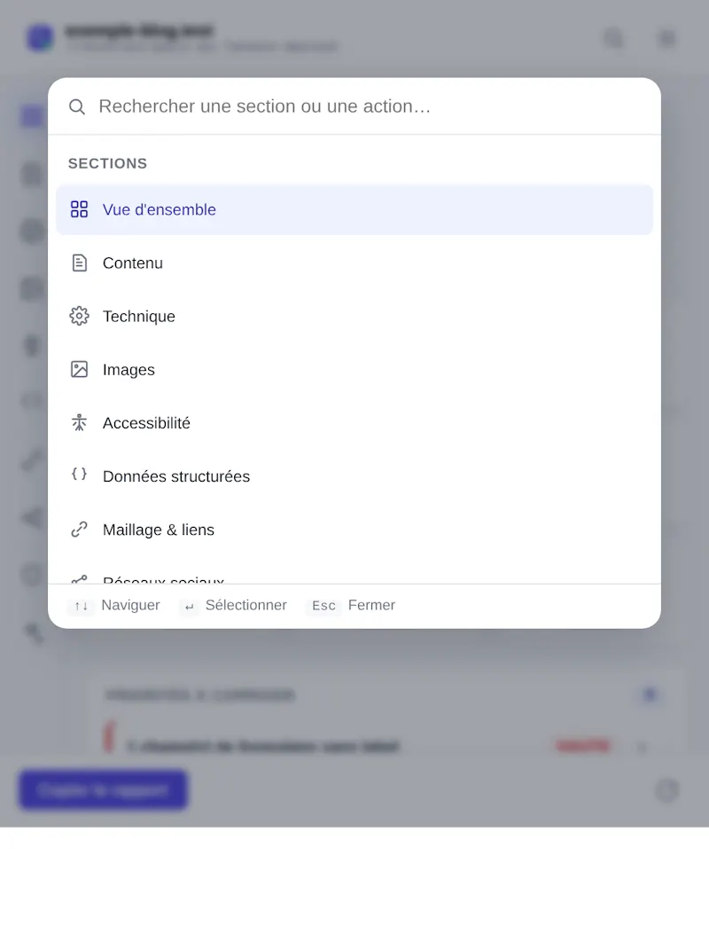 SEO Inspector Pro ectension screenshot 3