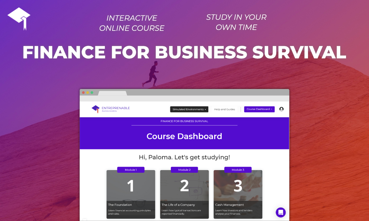 Finance for Business Survival gallery image