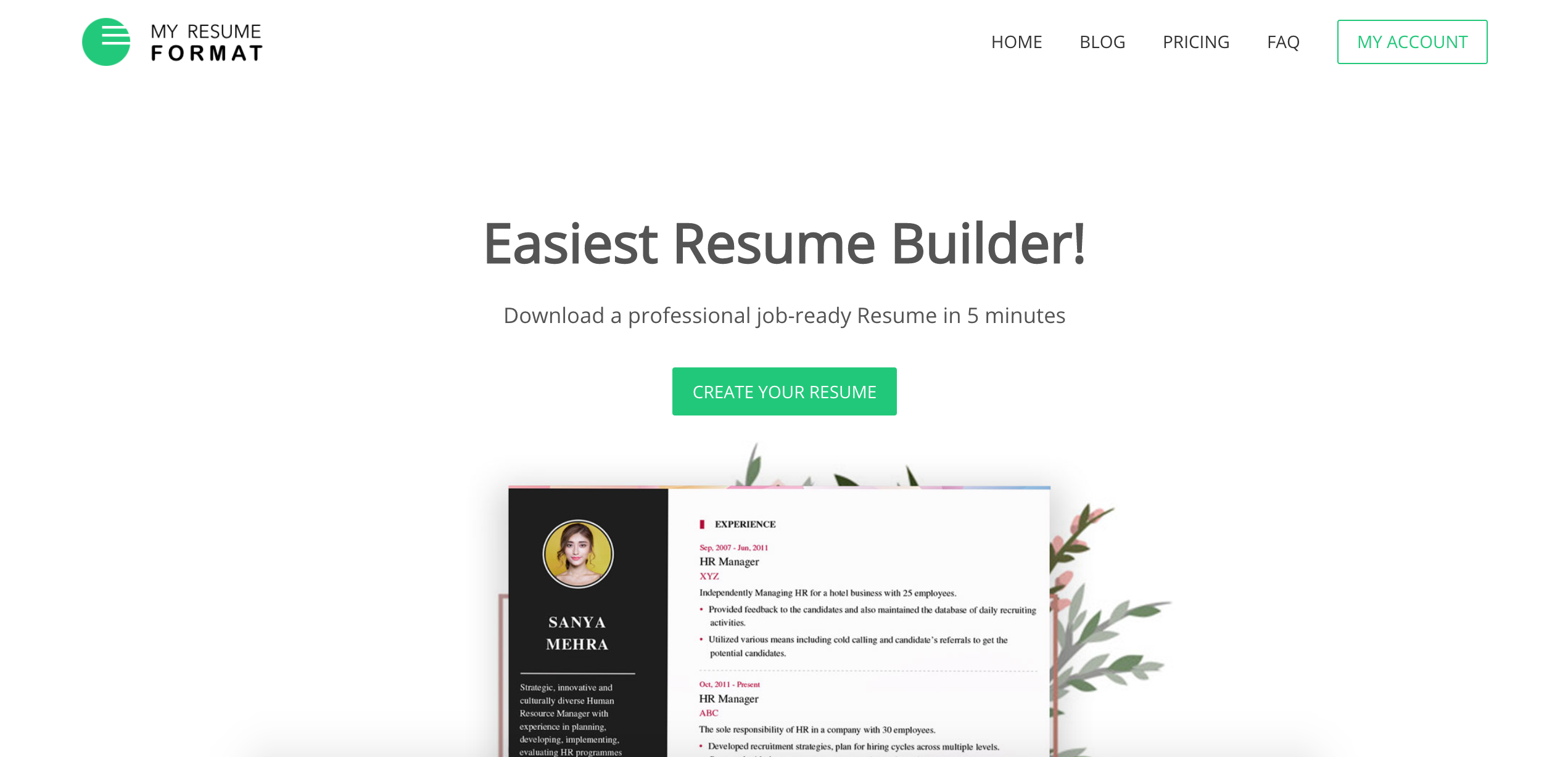 My Resume Format gallery image